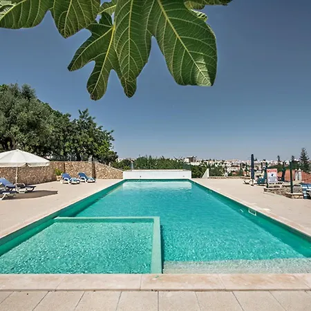 Stylish With Large Patio & Pool